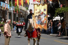 2009Vessillo-del-Palio-ppi-Vinto